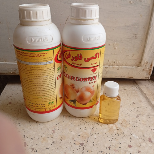 اکسی فلور فن۲۴ درصد 60 سی سی ( علف کش پیاز گل ای دو)